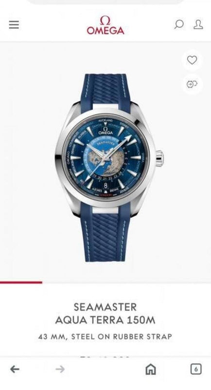 Omega Seamaster Aquaterra Watch